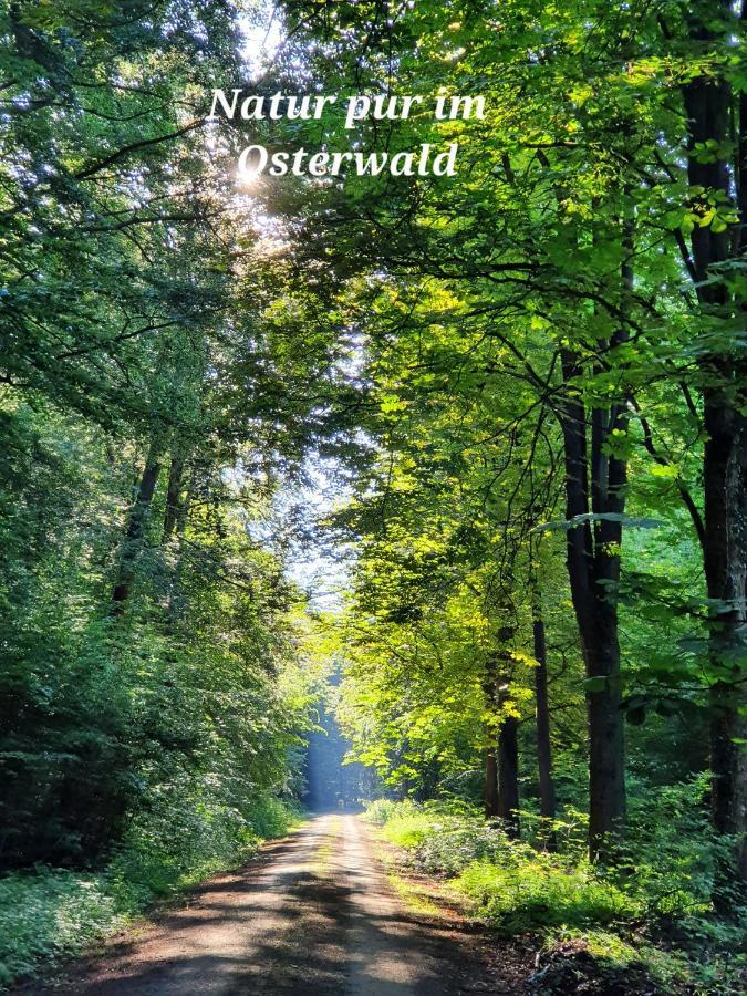 Kansteinblick Weserbergland Salzhemmendorf ภายนอก รูปภาพ